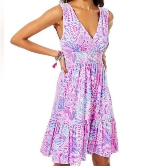 Lilly Pulitzer Dresses & Skirts - Lilly Pulitzer Vivette Dress NWT Size M